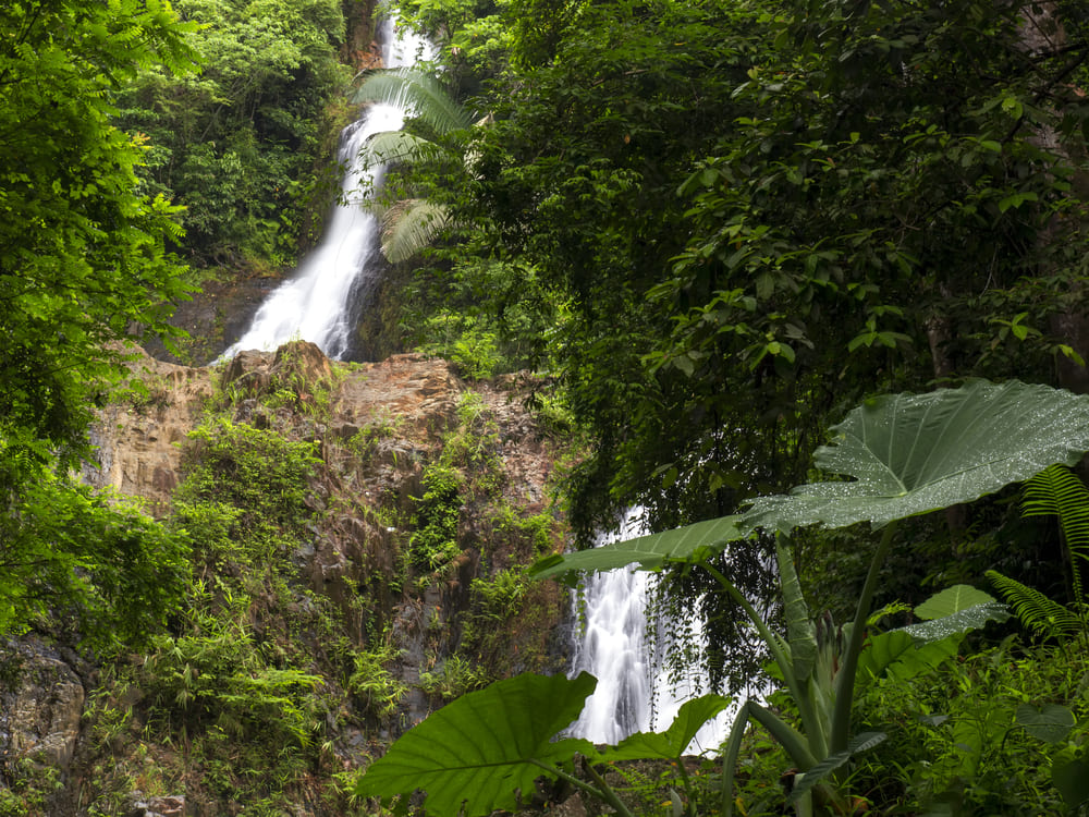 Huai To Waterfall in Krabi, a stunning waterfall in Thailand surrounded by a lush, prehistoric tropical rainforest.