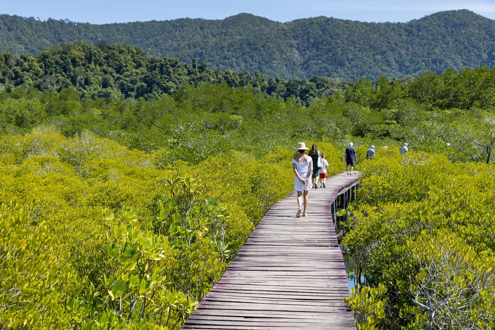 ป่าชายเลนสลักเพชร (สะพานแดง) พิกัดเที่ยวใกล้น้ำตกธารมะยม เกาะช้าง จังหวัดตราด