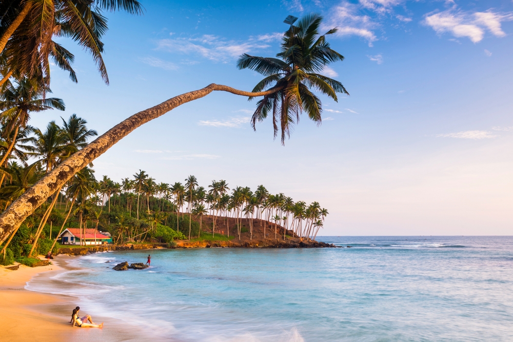  Leaning palm trees on a beautiful beach in Sri Lanka, one of the best islands in the world.