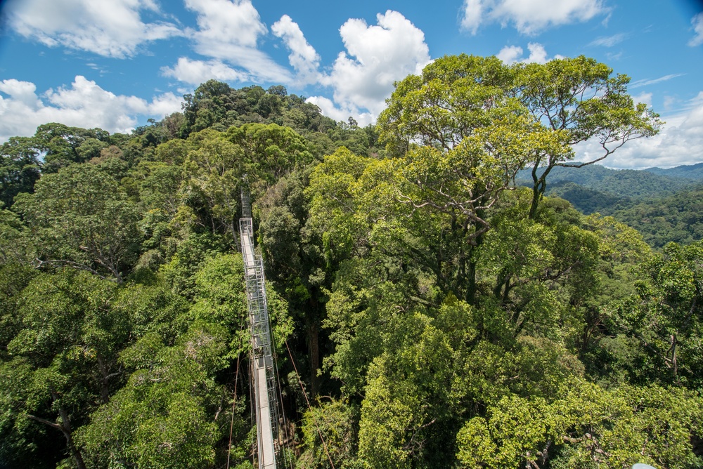 Temburong Canopy Walkway above the pristine rainforest in Brunei during the rainy season in Southeast Asia.