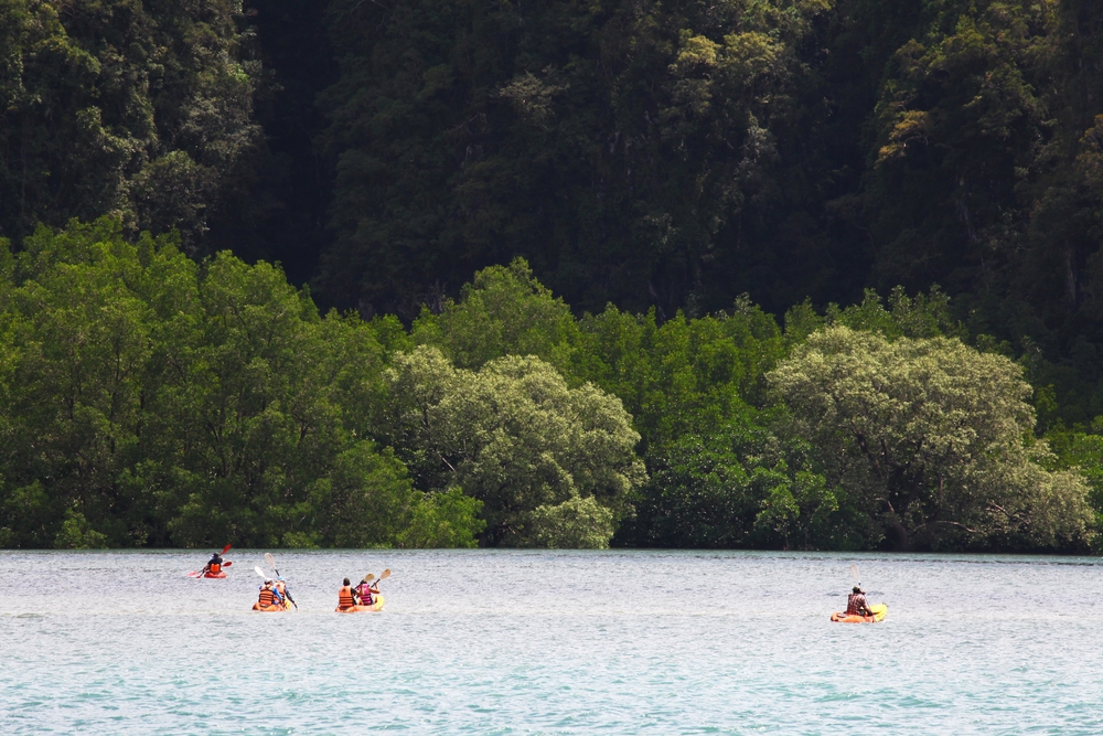 Travelers kayaking in serene, lush green waters during the rainy season in Southeast Asia.