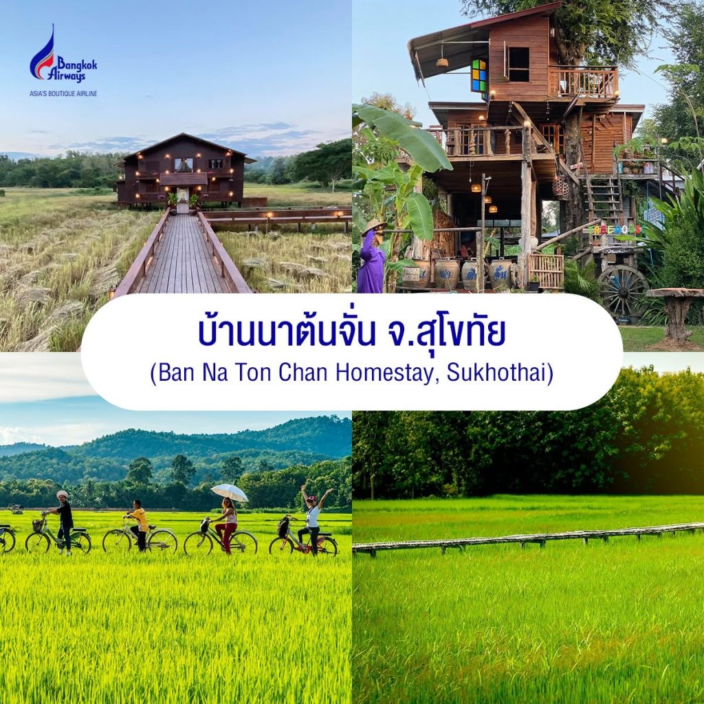 รวมสถานที่ท่องเที่ยวและโฮมสเตย์บ้านนาต้นจั่น สุโขทัย ท่ามกลางธรรมชาติ ทุ่งนา และวิถีชีวิตสโลว์ไลฟ์