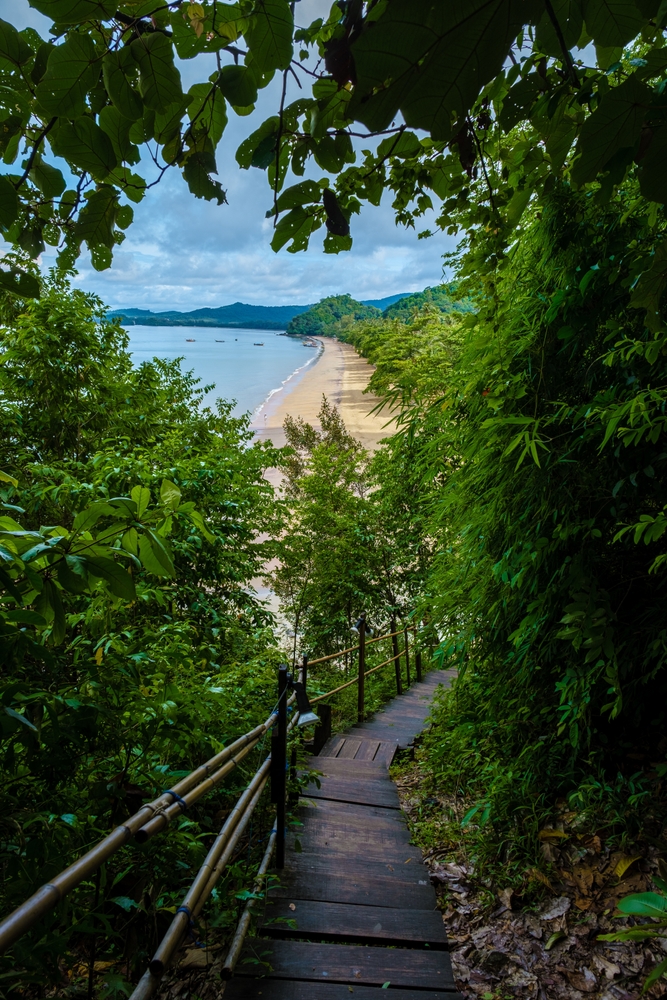 The wooden walkway of the Monkey Trail surrounded by nature, starting from Ao Nang Beach, Krabi.