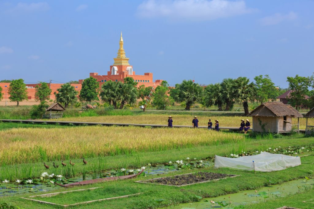ชมทุ่งนาและวิถีเกษตรที่โครงการเกษตรอินทรีย์ สนามบินสุโขทัย ทริปต่อเนื่องจากวัดมหาธาตุ จังหวัดสุโขทัย