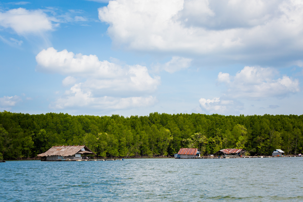 วิถีชีวิตบ้านเรือนและแพกระชังริมน้ำท่ามกลางป่าชายเลนอุดมสมบูรณ์ที่ชุมชนบ้านเกาะกลาง แหล่งท่องเที่ยวเชิงวัฒนธรรมใกล้เกาะปอดะ กระบี่