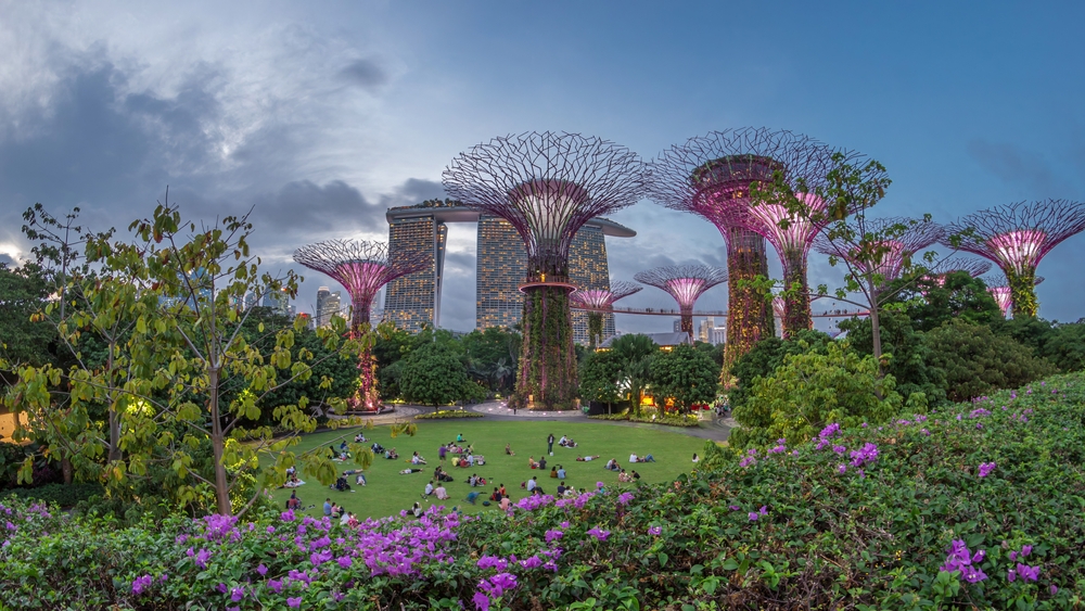 ต้นไม้ยักษ์ Supertree Grove ประดับไฟยามค่ำคืน ภายในการ์เด้นส์ บาย เดอะ เบย์ (Gardens by the Bay) ที่เที่ยวสิงคโปร์แนวธรรมชาติสุดล้ำ