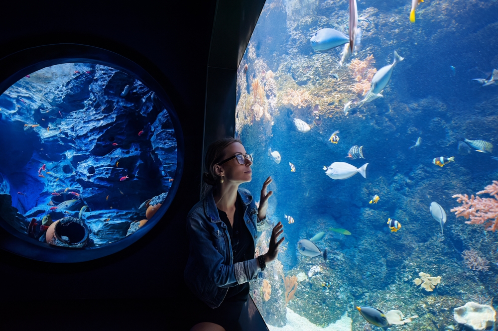 นักท่องเที่ยวกำลังชมความสวยงามของโลกใต้ทะเลที่พิพิธภัณฑ์สัตว์น้ำ Singapore Oceanarium สถานที่ท่องเที่ยวสิงคโปร์ที่เหมาะกับทุกวัย